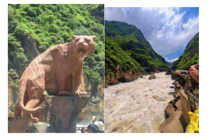 1754879618506539.png image.png