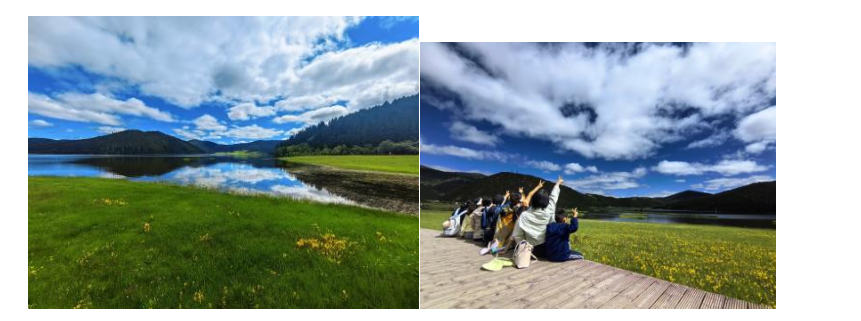 1754879645527421.png image.png